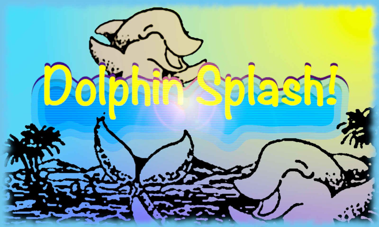 Dolphin Splash!